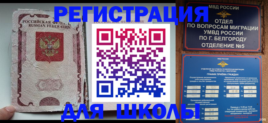 прописка гарантия в Нововоронеже